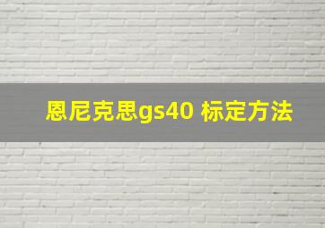 恩尼克思gs40 标定方法